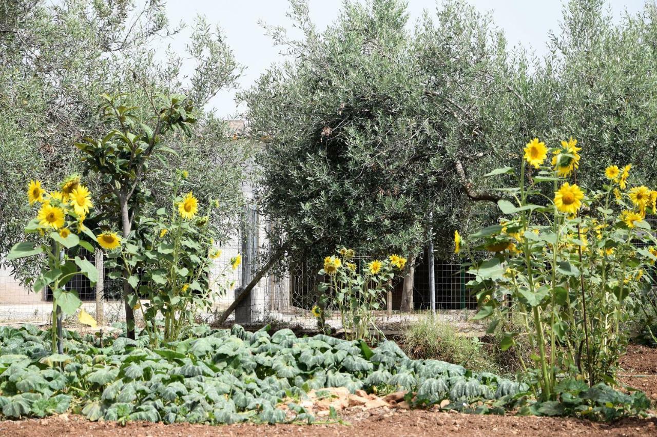 Вилла Casa Le Gebbie Марцамеми Экстерьер фото